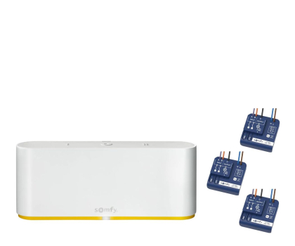 Zestaw Smart Home Somfy Zestaw do sterowania - Tahoma Switch + IZYMO Mikro odbiornik